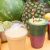 12 Oz Regular Cups