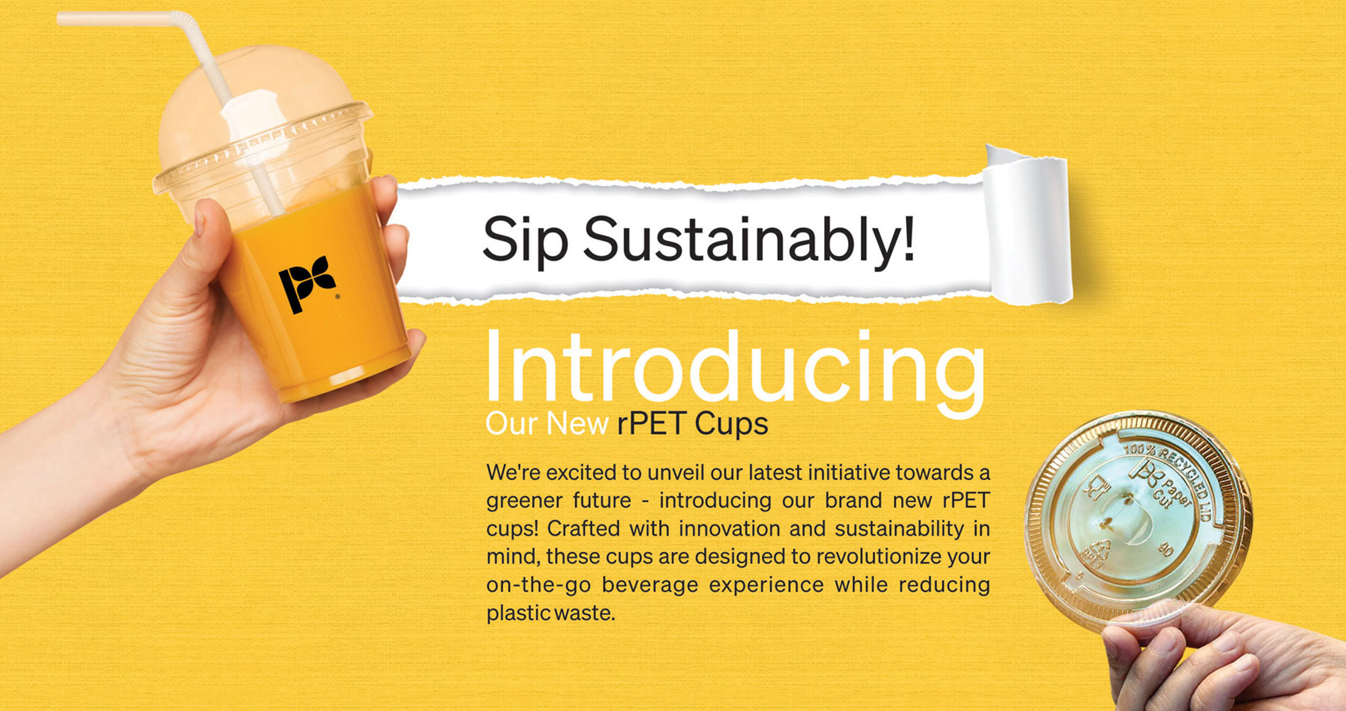 eco cup